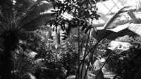 PROSPECTS video still